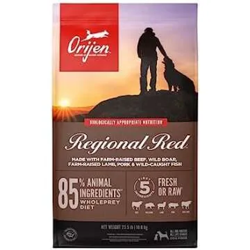 Yorkie Dog Food List