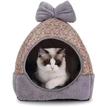 Amazing Cat Beds