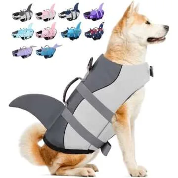 Leashes, Collars, Harnesses