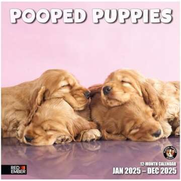 2025 Calendars and Planners