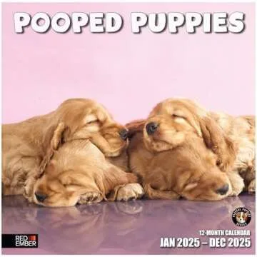 2025 Calendars and Planners