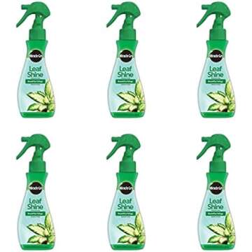 Indoor Gardening Essentials