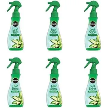 Indoor Gardening Essentials