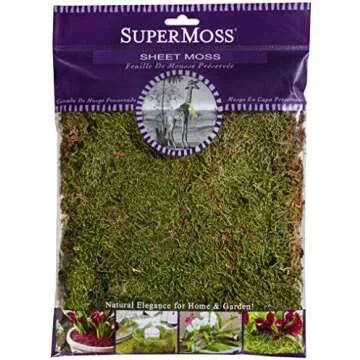 Terrariums & Supplies