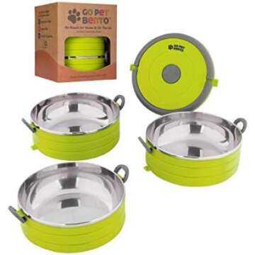 Gear for Your Adventure Cat