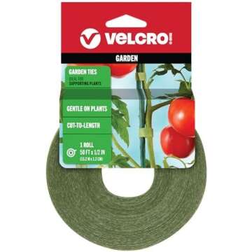 Must-Have Tools & Accessories