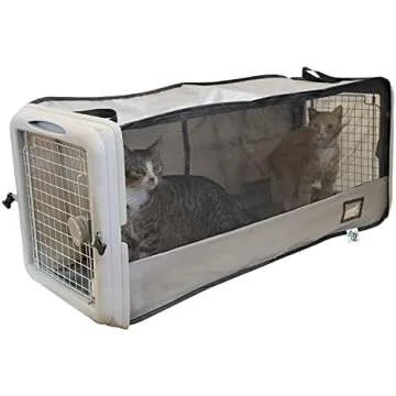 CAT TRAVEL MUST-HAVES