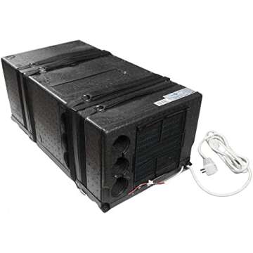 What my viewers thought were the best things I used and shared