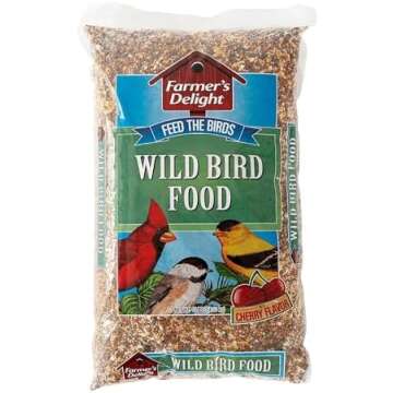 Memory Making Christmas Advent Countdown