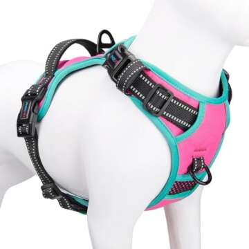 Best Dog Harness