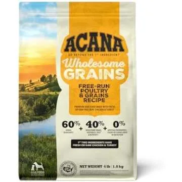 Matilda and Aska's List (RV Dog Essentials)