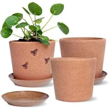 Houseplant Pots
