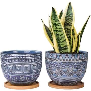 Plant Life 🌿 🌻 🌸 🌼 🌺