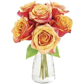 Mother's Day Gift Guide