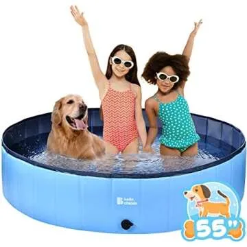 Pet Summertime Fun