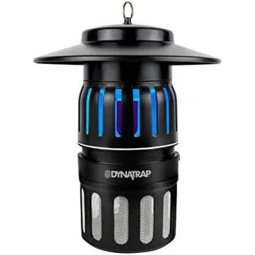 House stuff (adulting)