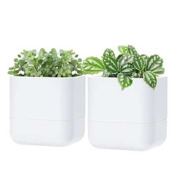 Plant tools, pots, & accessories