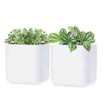 Plant tools, pots, & accessories