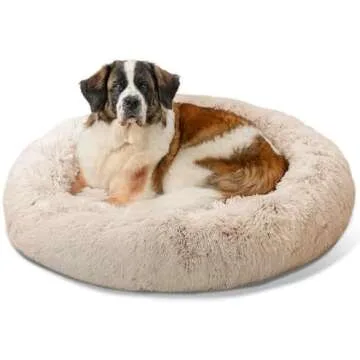 Dog Beds