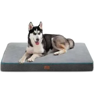 Amazon Pet Finds (Bedsure)
