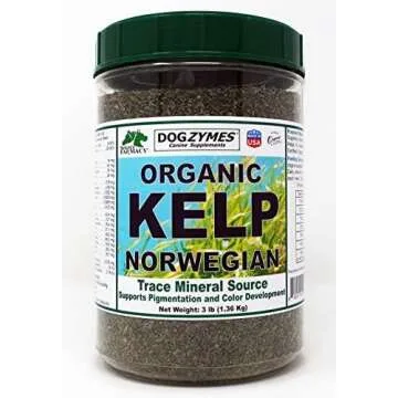 Puppy and Dog Dental