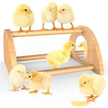 For Baby Chicks