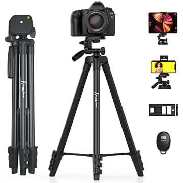 Content Creation Essentials