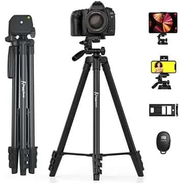 Content Creation Essentials