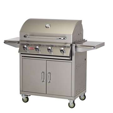 2 burner grill