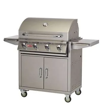 2 burner grill