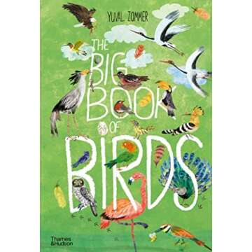 Bird Books & Toys