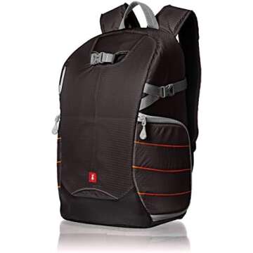 Photography for Beginners (SONY)