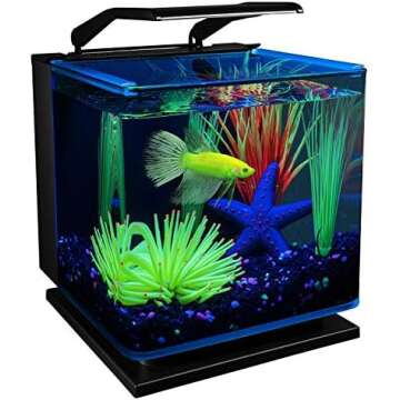 Aquarium/Fish Tank