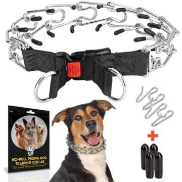 Dog Training Supplies
