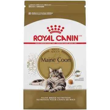 Adult Maine Coons - Food and Diet
