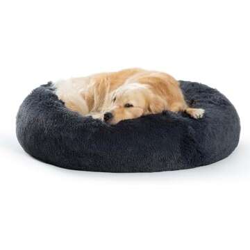 Dog Beds