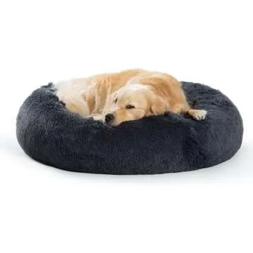 Dog Beds