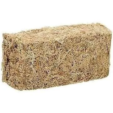 Creature I Like To Have