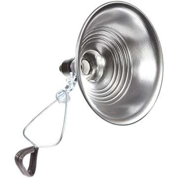 Cheapest Lighting Setup