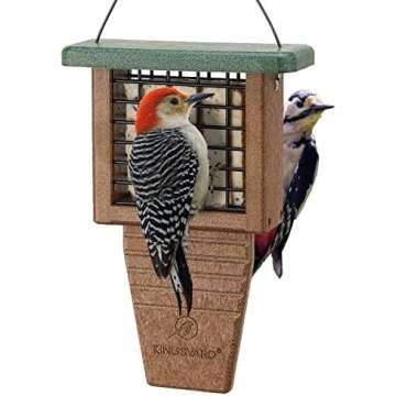 Wild Bird Feeders and Bird Baths