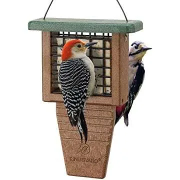 Wild Bird Feeders and Bird Baths