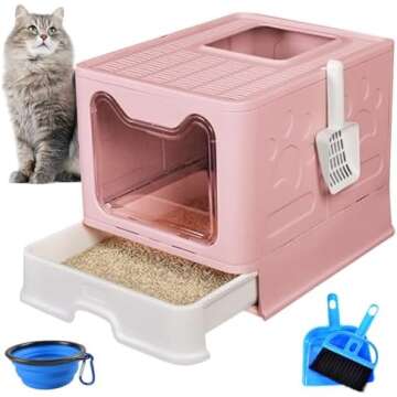 Cat Necessities