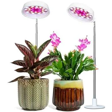 Winter Survival Kit!