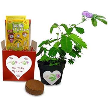 The Best Valentine Finds