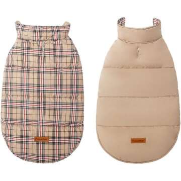 Favorite dog outfits