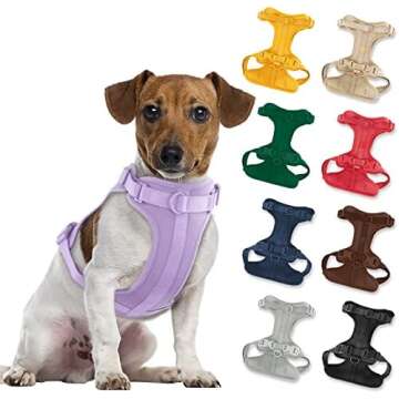 Pet Harness, Collars & Fashion