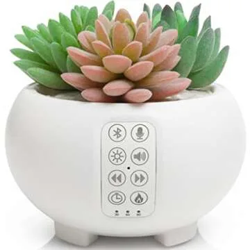 Home Accents to Complete Any Room