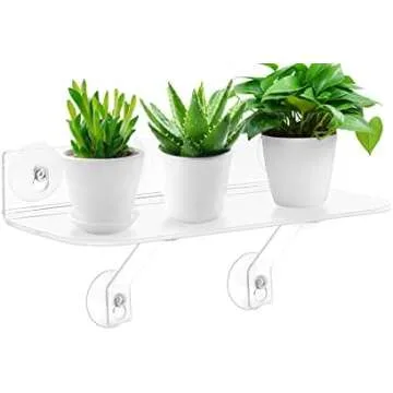 House Plants and Garden