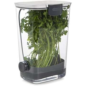 Kitchen Finds & Organization Favorites