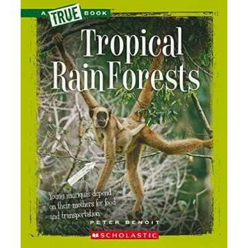 Books for Teaching Perspective